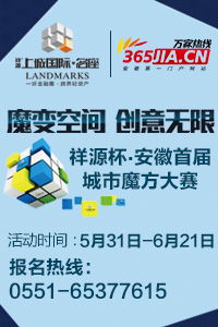 馬鋼股份收購法國公司 境外收購成皖企重要投資方式，引領計算機軟硬件開發新篇章